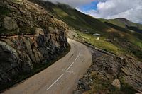 Marmotte