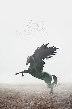 Mystic Black Pegasus on Misty Heath - Beruhigende Kunst für Innenräume