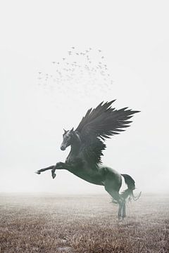 Mystieke Zwarte Pegasus op Mistige Heide - Rustgevende Kunst voor Interieur van Elianne van Turennout