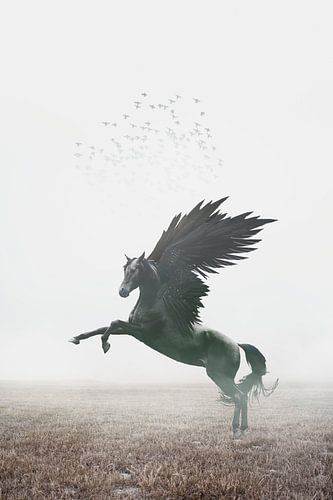 Mystic Black Pegasus on Misty Heath - Beruhigende Kunst für Innenräume