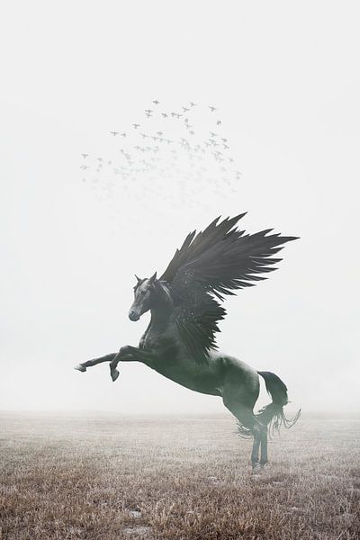 A dark Pegasus by Elianne van Turennout