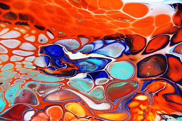 Évolution / Évolution