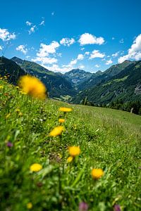 Bloemrijk uitzicht op de Zwitserse Alpen van Leo Schindzielorz
