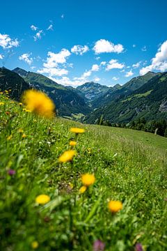 Blumige Aussicht auf die Schweizer Alpen