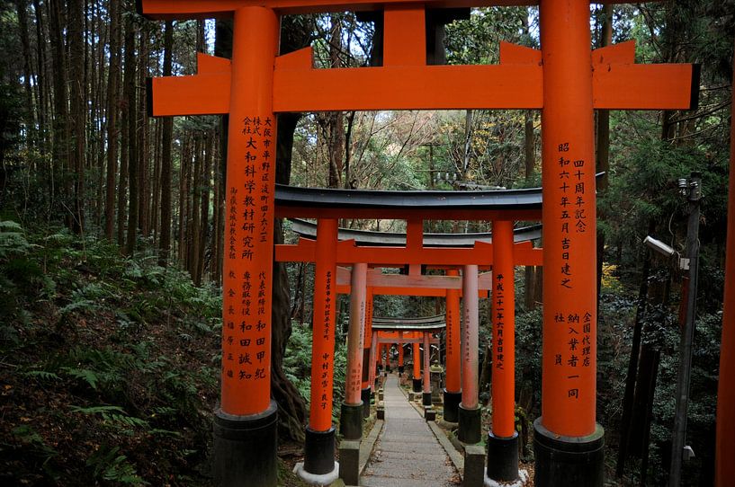 Fushimi Inari-taisha by Emi Barendse