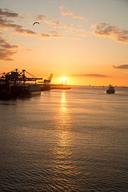 sunset in the port of Rotterdam