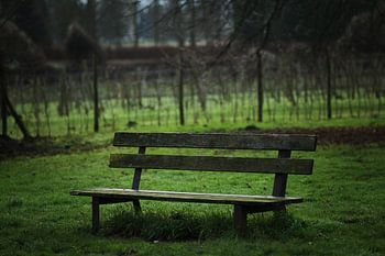 Alleine auf einer Bank