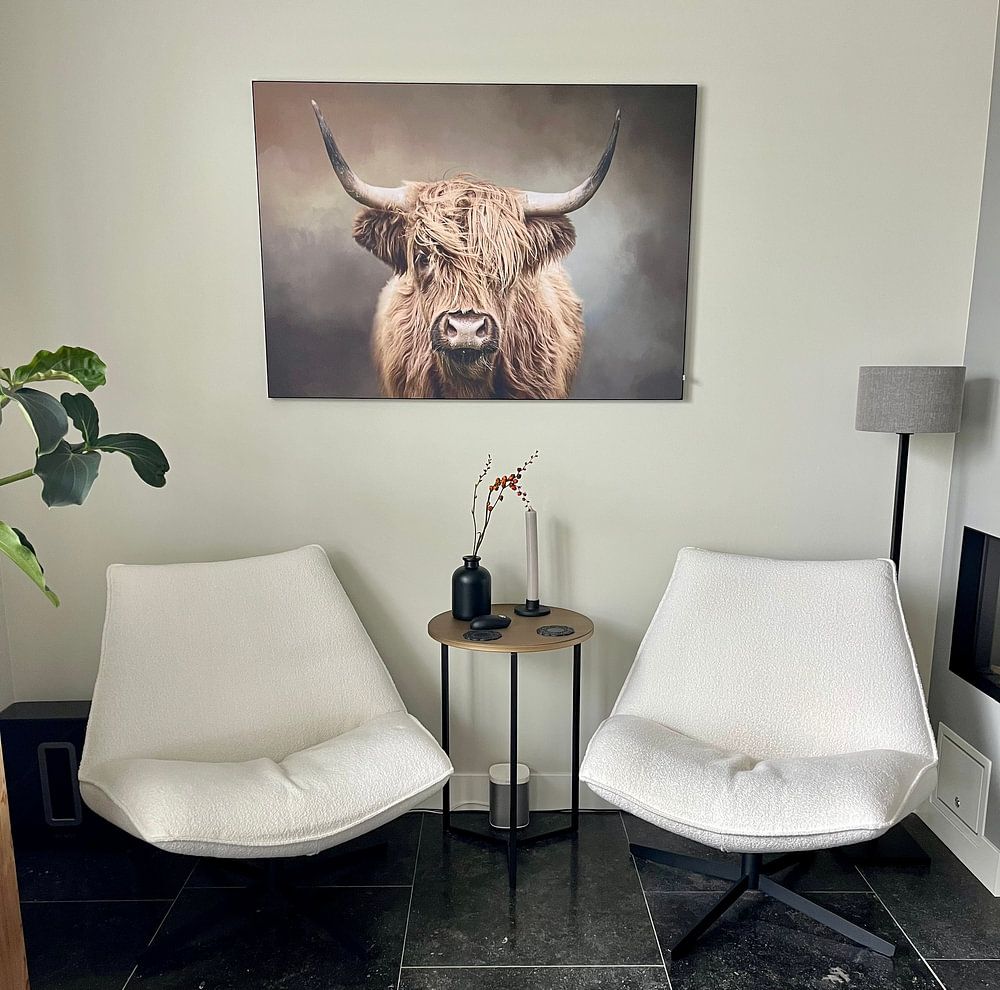 Scottish Highland Cow  by Diana van Tankeren 