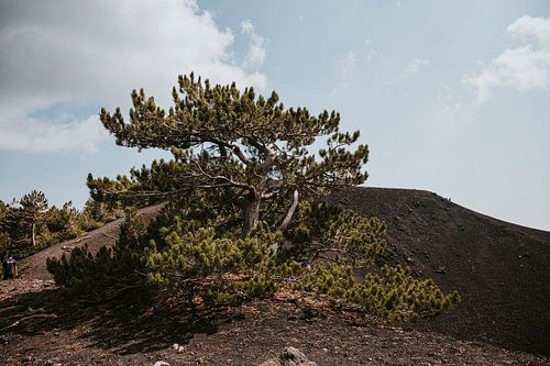 View over the Etna volcano in Sicily, Italy
