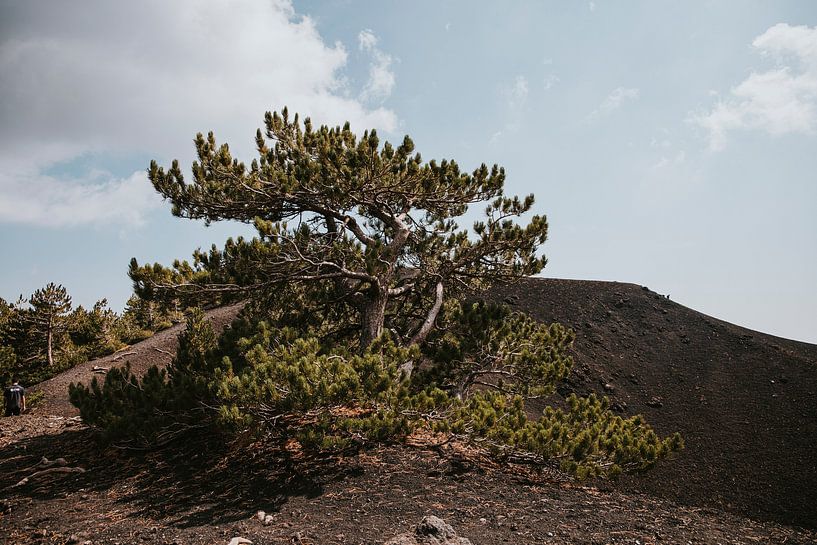 Blick über den Ätna-Vulkan in Sizilien, Italien par Manon Visser