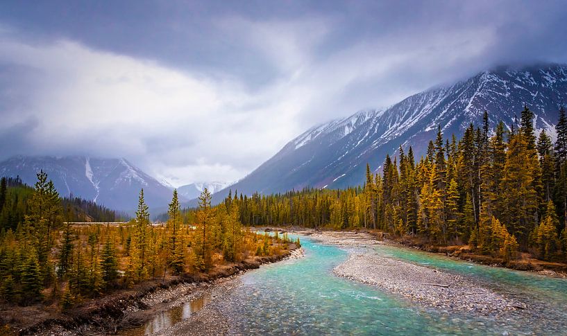 Landscape in Kootenay National Park, Canada by Rietje Bulthuis