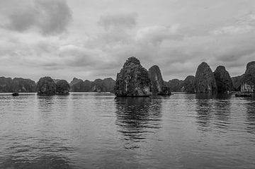 Cat ba by Richard Wareham