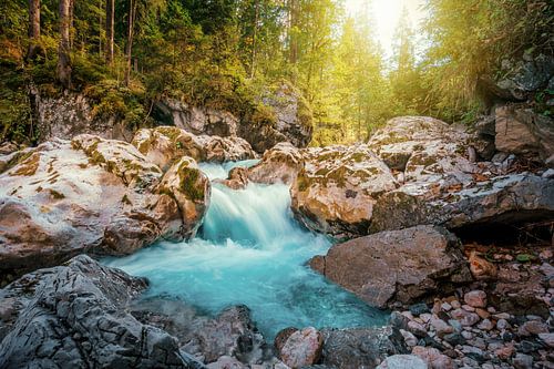 Chute d'eau dans la forêt