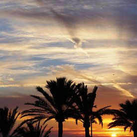 Zonsondergang Palma de Mallorca van Jet Couzijn