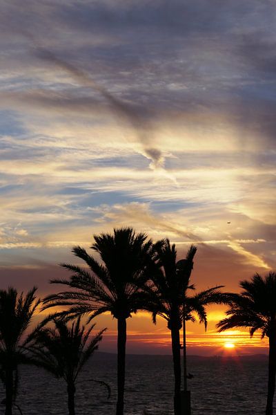 Zonsondergang Palma de Mallorca von Jet Couzijn