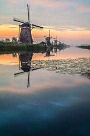 Die berühmten Fünf in sanften Farben von Jack Dwarswaard