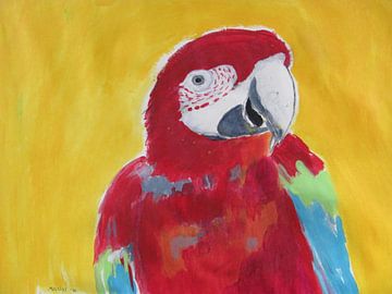 Papegaai, Parrot .  Marlys Natzijl van Marlys Natzijl