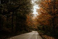 Der Weg zum Herbst