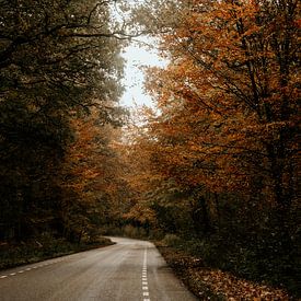 Het pad naar de herfst van Marina Bruijnzeel