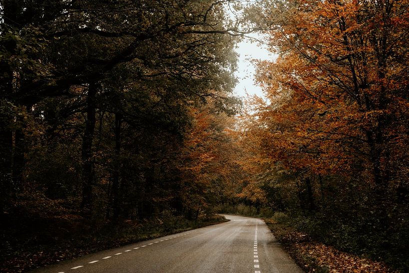 Het pad naar de herfst van Marina Bruijnzeel