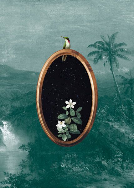 Hummingbird Portal by MAR Illustrations and Design