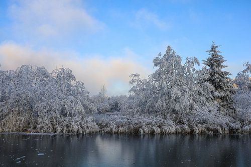Winterlandschap Schwackenreuter Kort voor zonsondergang gezien bij Mühlingen - Landkreis Konstanz