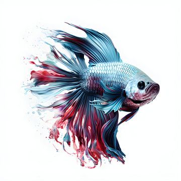 Siamese fighting fish by Uncoloredx12