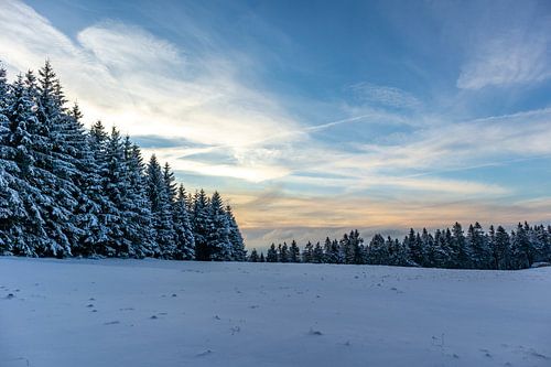 Eerste winterwandeling op de Rennsteig