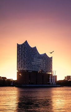 Elbphilharmonie Hamburg im Sonnenaufgang von Nils Steiner