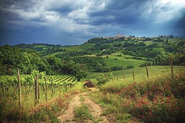 Italië Toscane San Gimignano met wijngaard van Jean Claude Castor