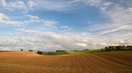 Gewellte Limburger Landschaft von peter reinders