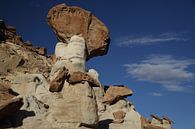 Hoodoo Forest (Rimrocks North) Grand Staircase-Escalante National Monument in southern Utah, USA by Frank Fichtmüller thumbnail