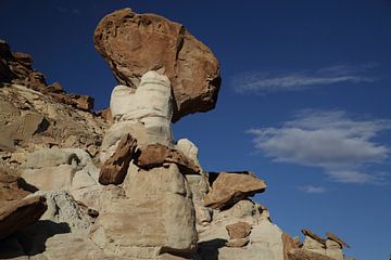 Hoodoo Forest (Rimrocks North) Grand Staircase-Escalante National Monument dans le sud de l'Utah, US sur Frank Fichtmüller