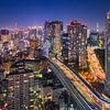 Nächtliche Skyline von Tokio, Japan von Michael Abid