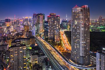 Nächtliche Skyline von Tokio, Japan von Michael Abid