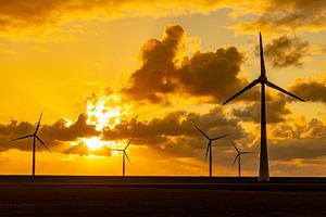 Windturbinen in einem Offshore-Windpark bei Sonnenuntergang