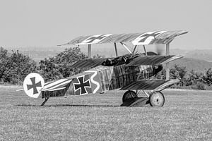 Nachbau eines Fokker DR.1-Dreideckers.