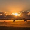 Sonnenaufgang auf dem Bauernhof # 3 von Michiel Leegerstee