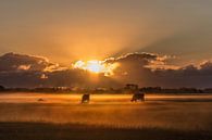 Lever de soleil à la ferme # 3 par Michiel Leegerstee Aperçu