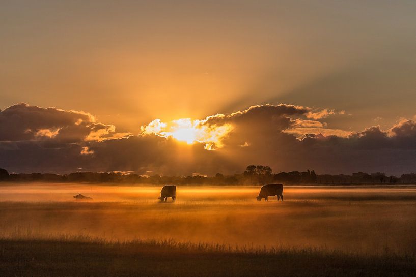 Lever de soleil à la ferme # 3 par Michiel Leegerstee