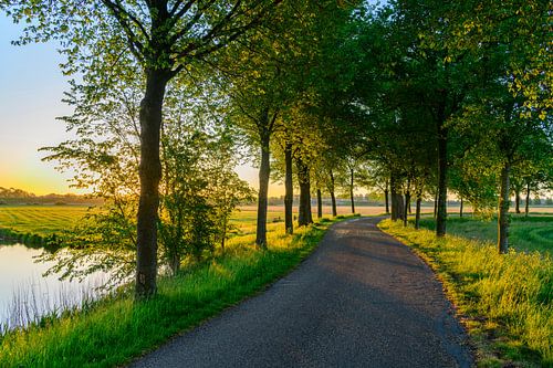 Zonsopgang over de Zwartendijk bij Kampen