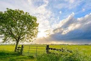 Gewitterwolken ziehen im Frühling über ein Feld hinweg