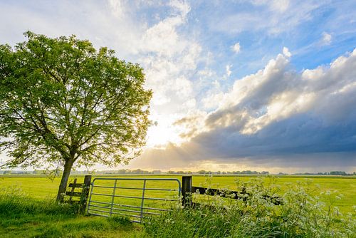 Stormwolken die in het voorjaar over een veld trekken