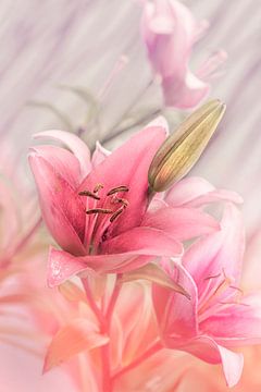 Dreamy Pink Lilies. Pastel by Alie Ekkelenkamp