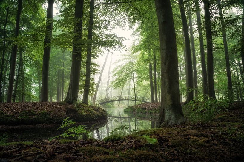 Par un beau matin par Martin Podt