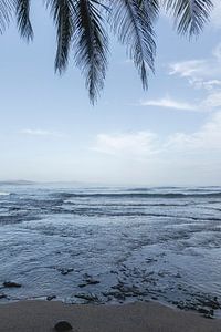 Côte rustique - Palmiers et vagues