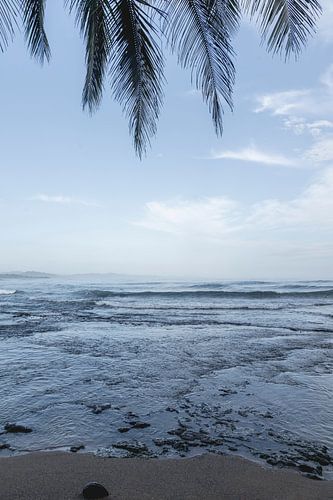 Rustieke Kustlijn Palmen en Golven Tropisch Oord