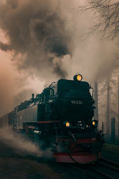 The Brocken Railway by Heiko Lehmann