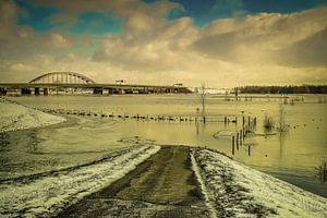 Winterse natuur langs de Lekdijk bij Vianen van Tina Linssen