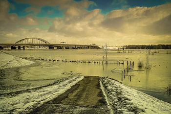 Winterse natuur langs de Lekdijk bij Vianen